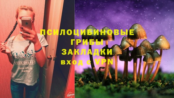 кокс Алзамай