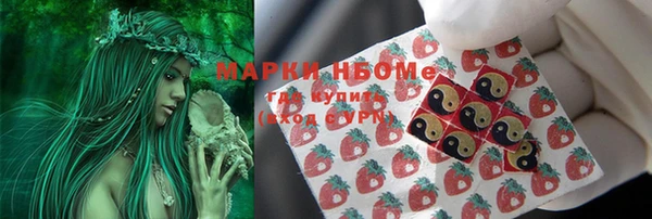 индика Протвино