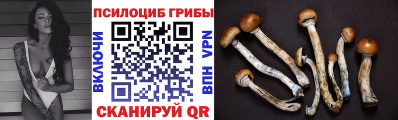 Галлюциногенные грибы мицелий  Глазов 