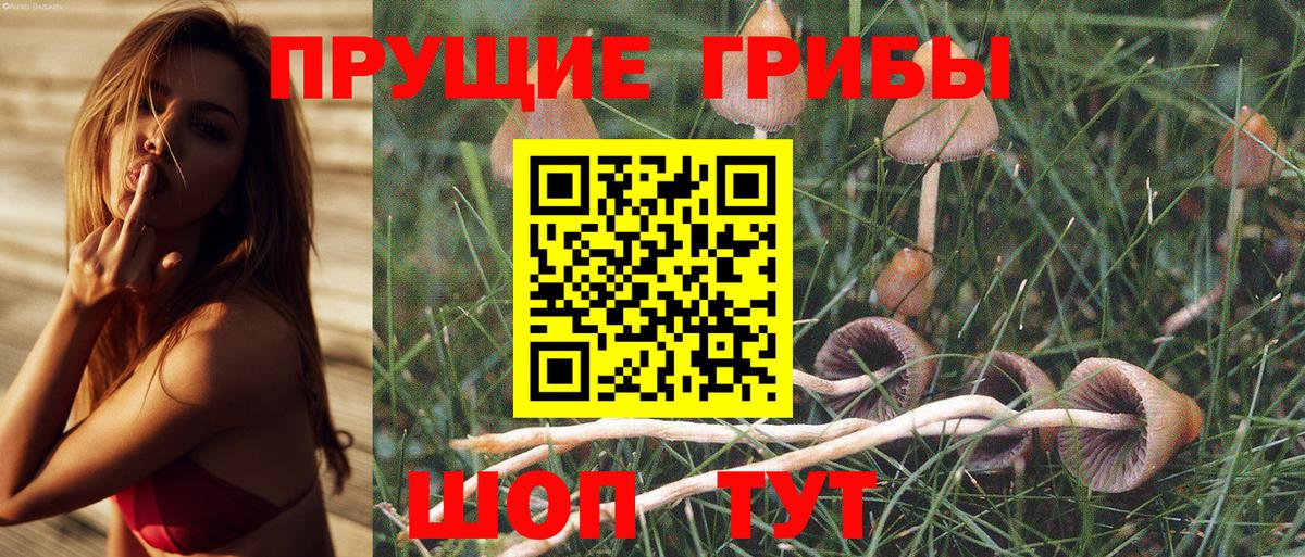 Галлюциногенные грибы MAGIC MUSHROOMS  купить наркотик  Глазов  Вход с VPN 