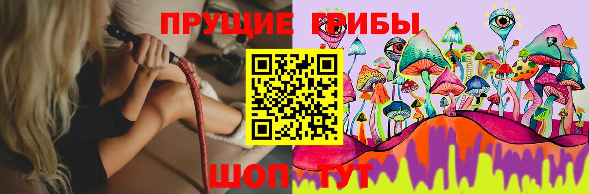 Галлюциногенные грибы прущие грибы Глазов